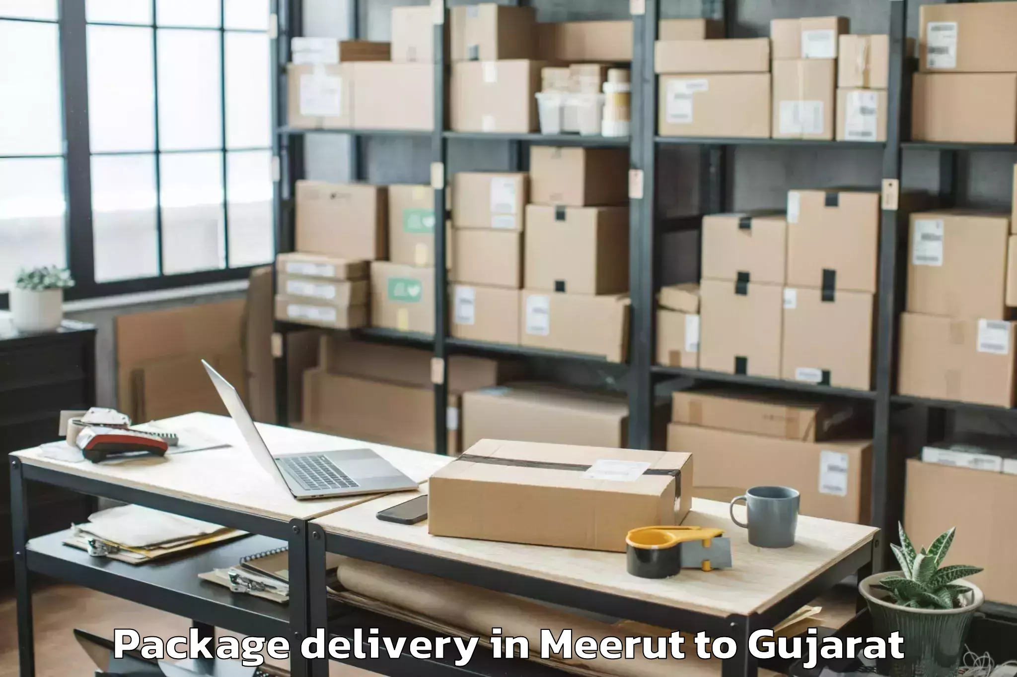 Easy Meerut to Veer Narmad South Gujarat Univ Package Delivery Booking